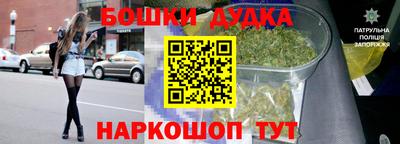 ГАЛЛЮЦИНОГЕННЫЕ ГРИБЫ Кандалакша