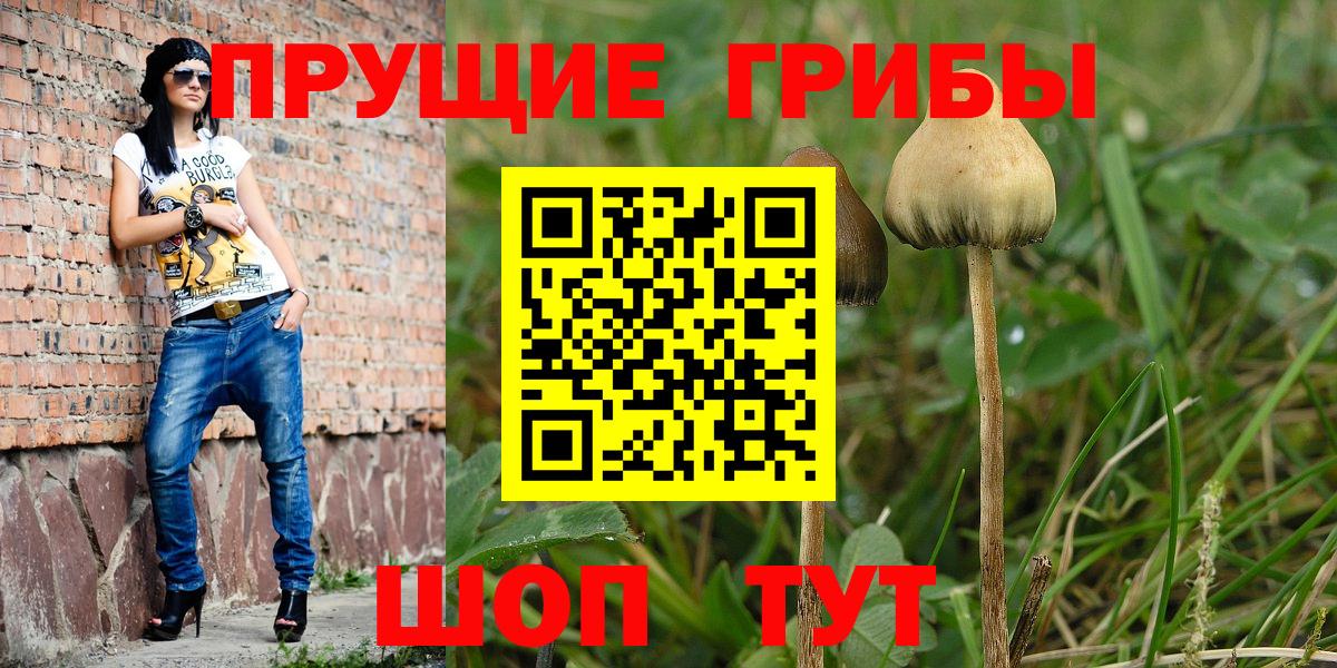Псилоцибиновые грибы ЛСД Кыштым